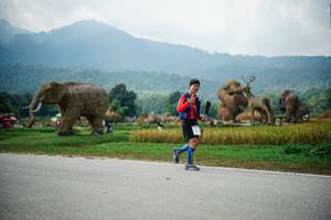 BIB: 
                            <button type="button" onclick="openModal(22435756)" class="btn btn-primary btn-sm float-right btn-popup" data-toggle="modal" data-target=".modal-high-quality">
                        <i class="fas fa-shopping-cart"></i> Add to Cart
                    </button>
                                            <button type="button" onclick="isThisMe(22435756, true)" class="btn btn-success btn-sm float-right btn-popup btn-isme hidden" data-toggle="tooltip" data-placement="bottom" title="นี่คือรูปของคุณใช่ไหม คลิกที่นี่เพื่อเอาเข้าอัลบั้ม">
                        <i class="fas fa-plus"></i> Add to album
                    </button>
                    <button type="button" onclick="isThisMe(22435756, false)" class="btn btn-warning btn-sm float-right btn-popup btn-isnotme hidden">
                        <i class="fas fa-ban"></i> Remove from album
                    </button>